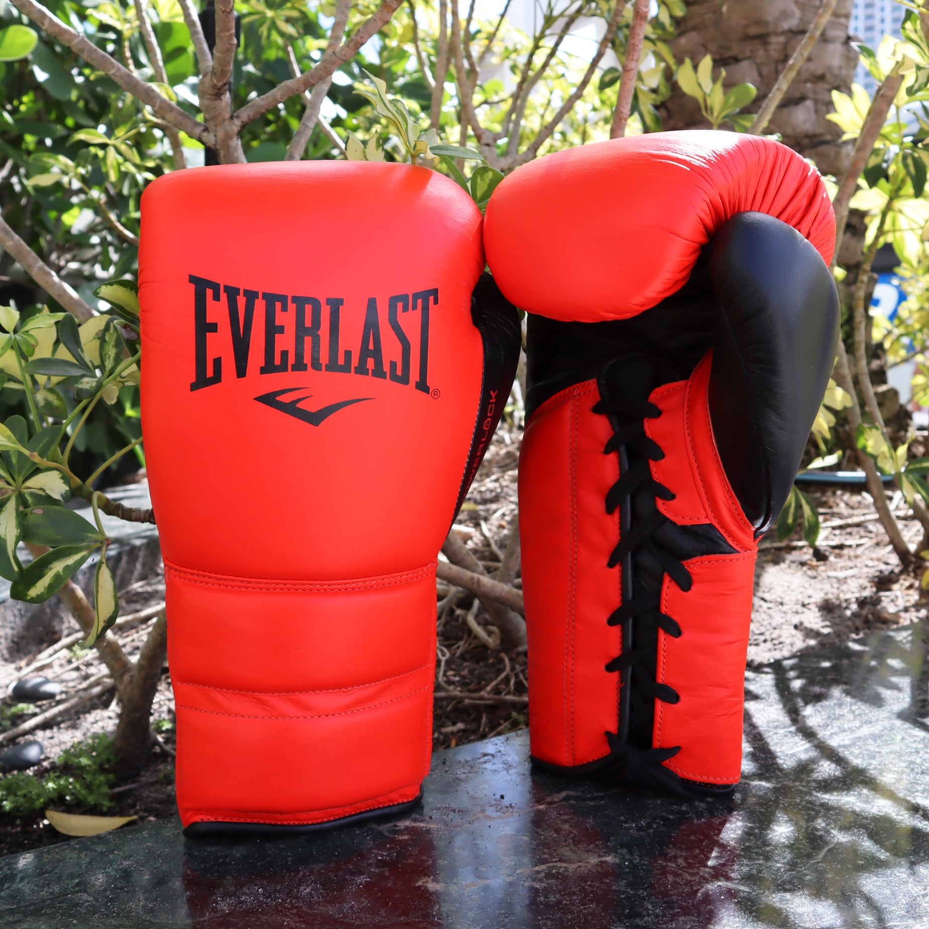 High quality Everlast PowerLock 2 Boxing Gloves 12oz