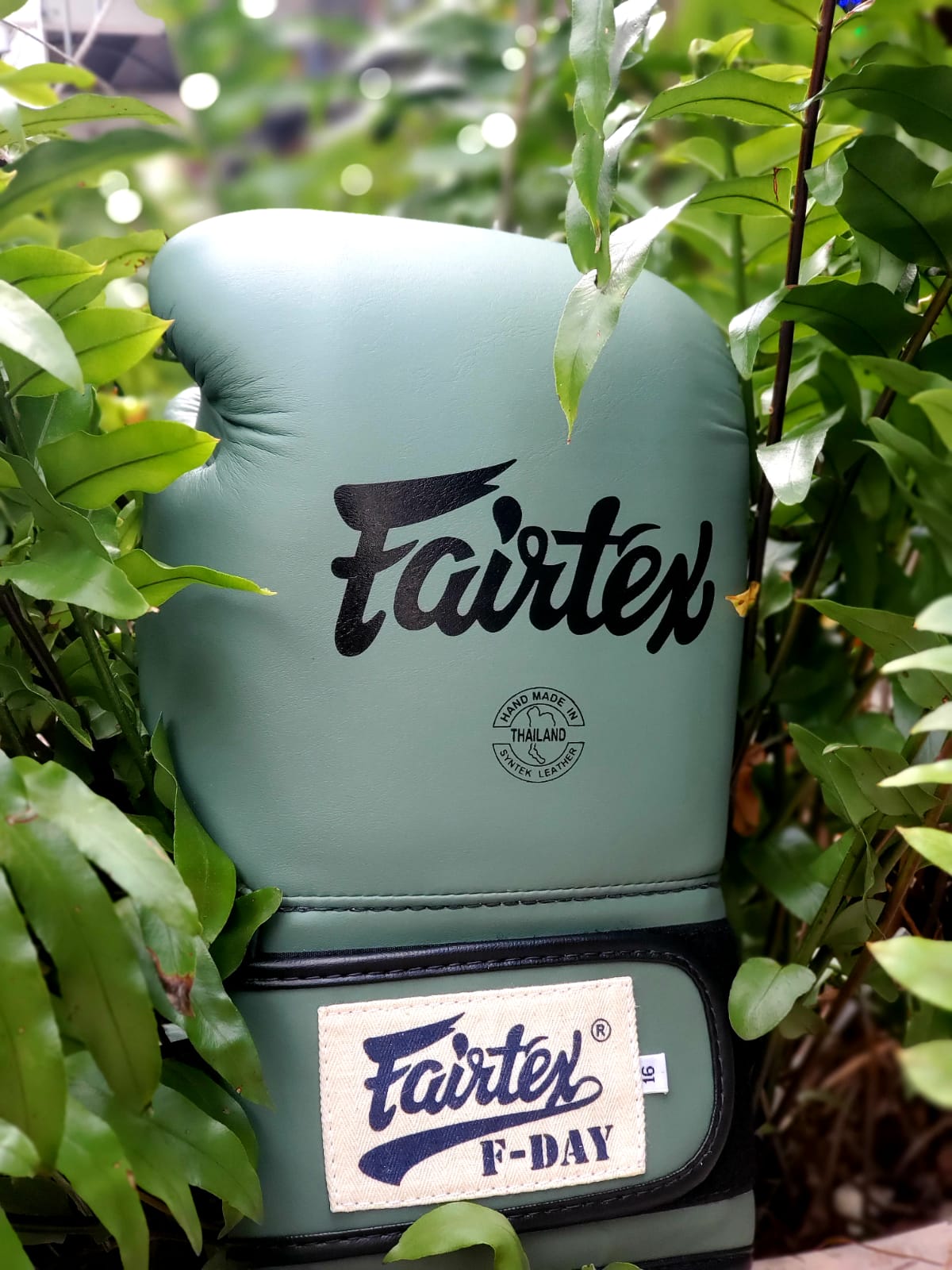 Fairtex F Day Boxing Glove Military Green